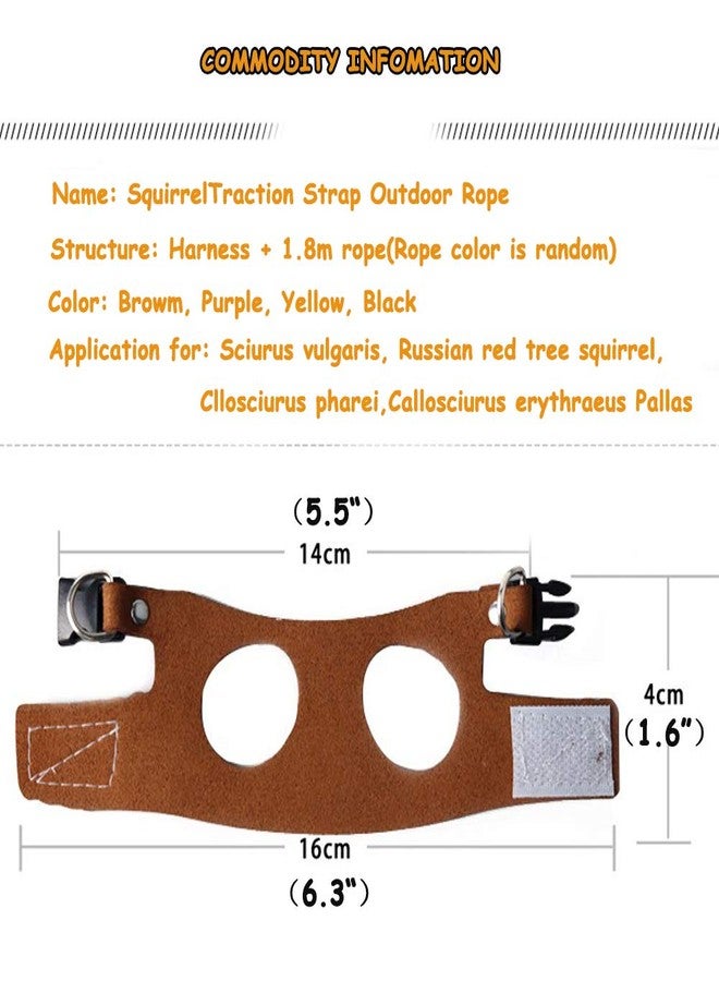 ADNIKIA Squirrel Traction Rope Strap Anti-Biting Chain Rope, Adjustable Vest, Small Animal Walking Harness with Lead Leash, Hamster Gerbil Rat Mouse Ferret Chinchilla Small Animal Walking Leash - Image 4